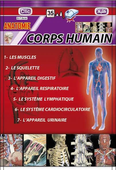 CORPS HUMAIN
