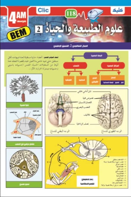 علوم الطبيعة والحياة 4 متوسط ج2
