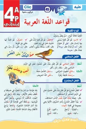 قواعد اللغة العربية 4 ابتدائي