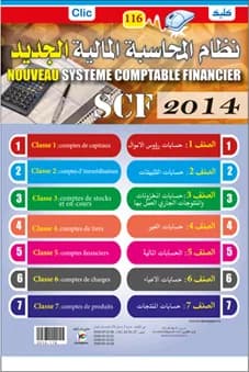 نظام المحاسبة المالي الجديد 2010
