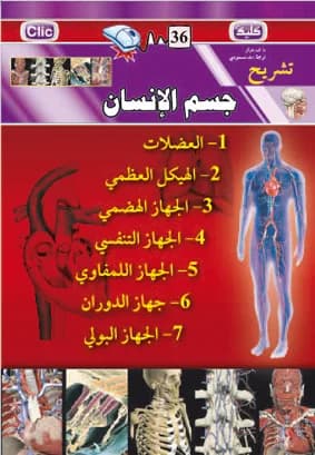 جسم الإنسان